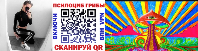 дарнет шоп  Нижнеудинск  Галлюциногенные грибы GOLDEN TEACHER 