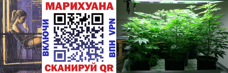 закладка  Нижнеудинск  Канабис OG Kush 